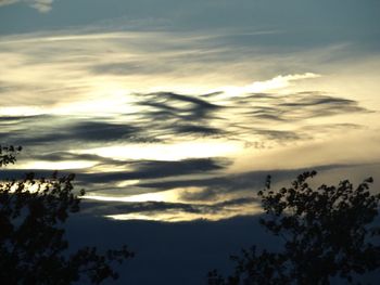 Low angle view of silhouette trees against cloudy sky