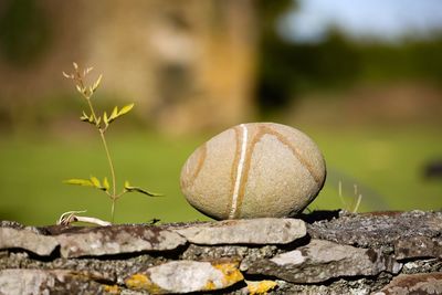 Close-up of ball on rock