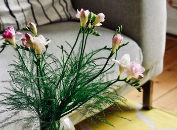 Close-up of potted plant