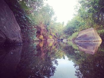 Reflection of trees in lake against sky