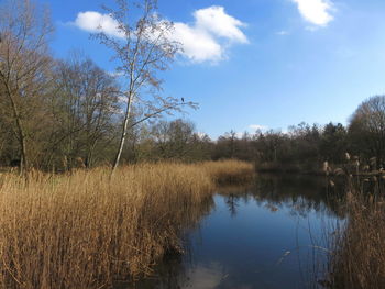 Scenic view of lake against sky