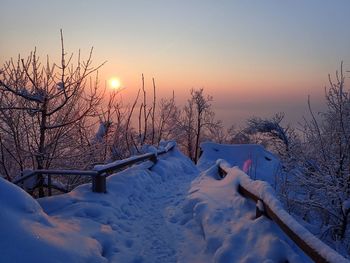 Bare trees on snowy landscape against sky during sunset