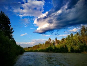 Scenic view of lake in forest against sky