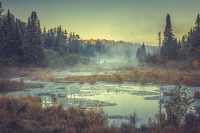 Scenic view of lake against sky