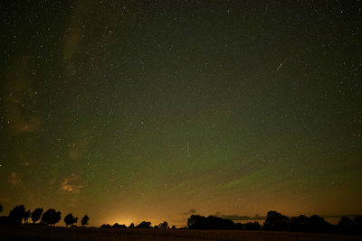 Low angle view of trees against star field at night