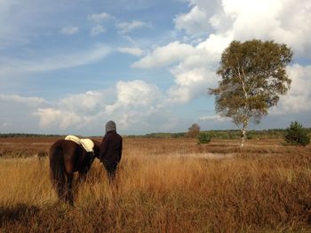 View of horse on field against sky