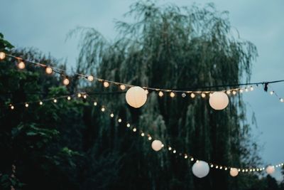 Illuminated light bulbs hanging from tree during rainy season