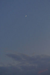 Low angle view of moon in sky at night