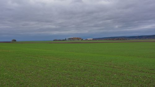 Scenic view of field against sky