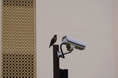 Low angle view of camera on metal against wall