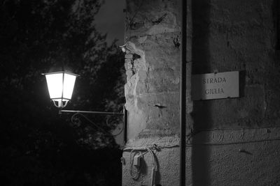 Close-up of illuminated text on tree at night