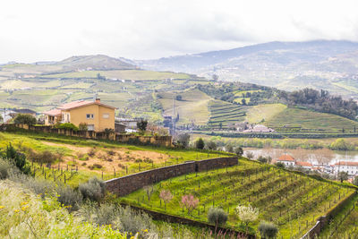 View of the douro valley with vineyards of the terraced fields and houses. photographed in portugal