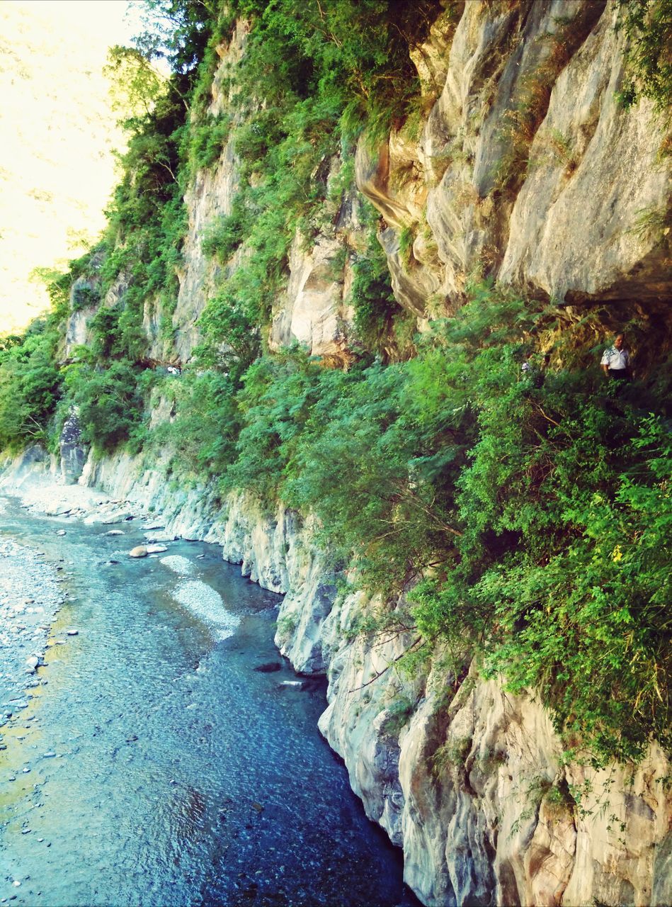 water, tree, rock - object, rock formation, beauty in nature, nature, tranquility, scenics, tranquil scene, growth, plant, mountain, green color, cliff, rock, river, stream, day, outdoors, idyllic