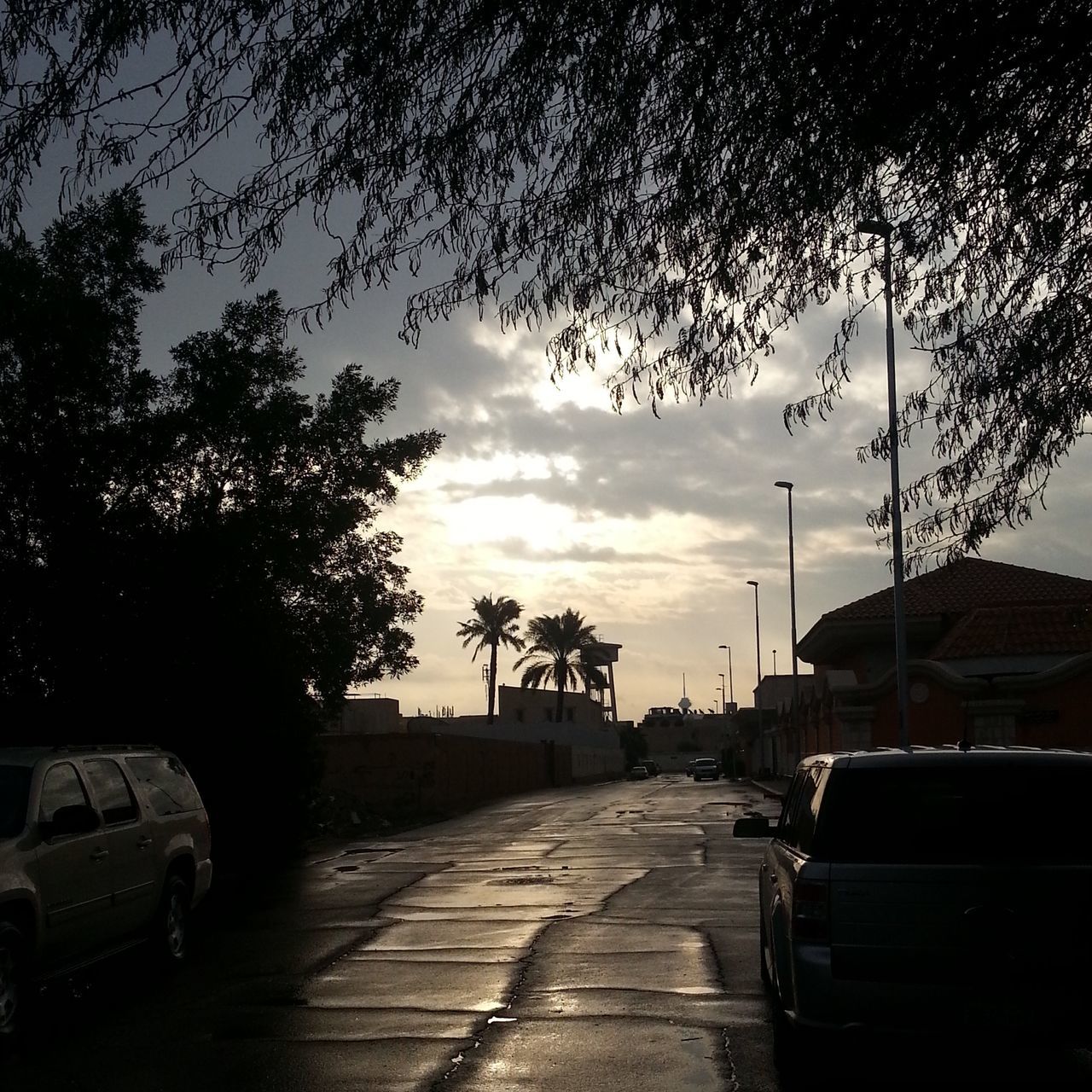 transportation, land vehicle, car, mode of transport, tree, sky, road, the way forward, street, sunset, cloud - sky, silhouette, parking, stationary, diminishing perspective, parked, street light, vanishing point, on the move, cloud