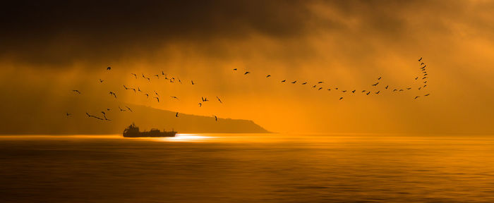 Silhouette birds flying over sea against sky during sunset