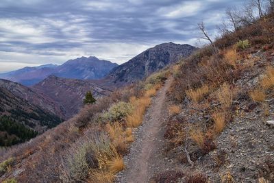 Slate canyon views from hiking trail fall, provo peak, slide rock canyon, wasatch  front, utah usa