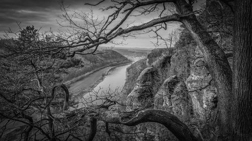 Bare trees by river against sky