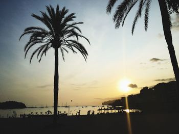 Silhouette palm trees on beach against sky during sunset