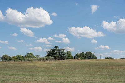 Trees on field against sky