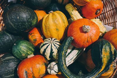 Close-up of pumpkins in market during autumn