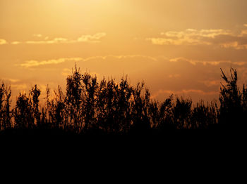 Silhouette trees against sky during sunset