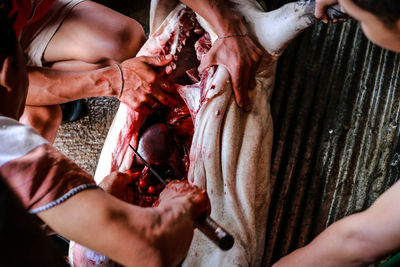 High angle view of butchers cutting meat