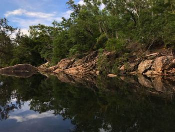 Scenic view of lake by trees against sky