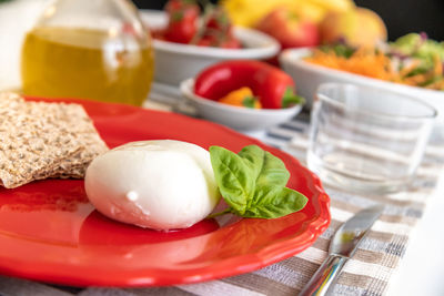 Nutritious dishes prepared with mozzarella salad and tomatoes. natural and healthy ingredients