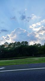 Scenic view of trees against sky