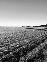 Scenic view of field against clear sky