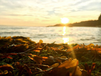 Scenic view of sea against sky during sunset