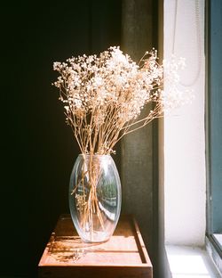 Flowers in glass vase on sideboard by window