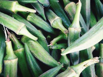 Full frame shot of green leaves