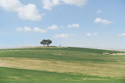 Scenic view of grassy field against sky