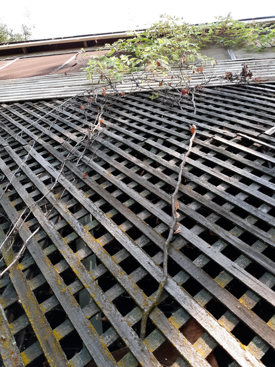 HIGH ANGLE VIEW OF OLD METAL GRATE ON BUILDING