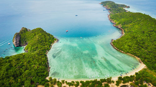 Amazing thailand hi season boats and tourists international on phi-phi island krabi thailand 