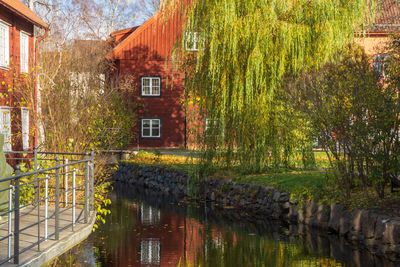 Trees by lake against building