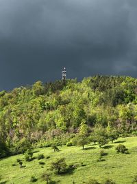 Scenic view of trees and lighthouse against sky