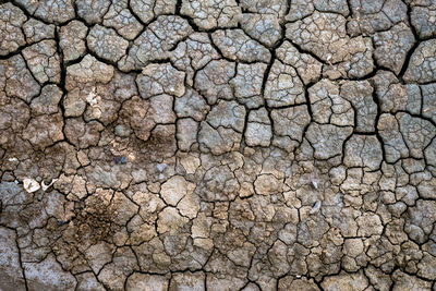 Full frame shot of cracked field