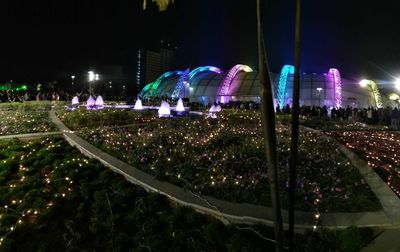 Illuminated christmas lights at night