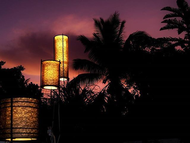 LOW ANGLE VIEW OF PALM TREES AGAINST THE SKY