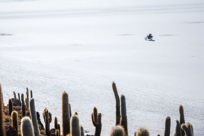 High angle view of couple on motorcycle