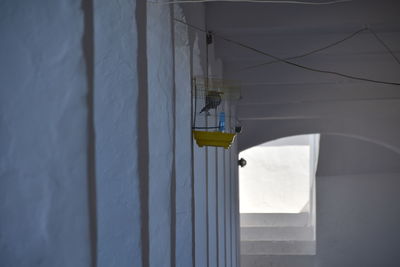 A bird cage hanging on wall