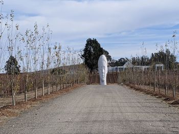 Walkway amidst trees on field against sky