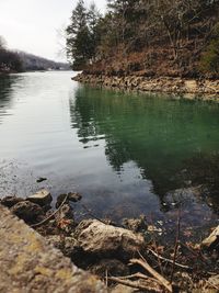 Scenic view of lake in forest