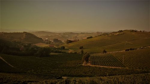 Scenic view of agricultural field against sky