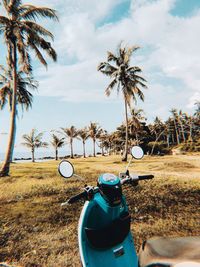 Palm trees on field against sky