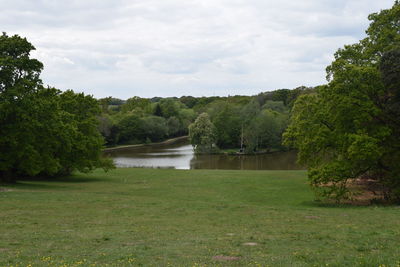 Scenic view of lake by trees against sky