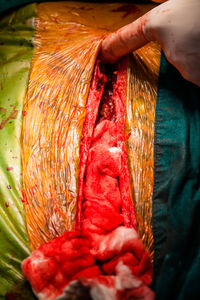 Close-up of person preparing food