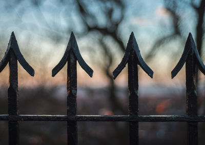 Close-up of fence